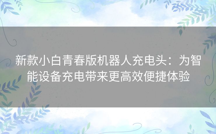 新款小白青春版机器人充电头：为智能设备充电带来更高效便捷体验