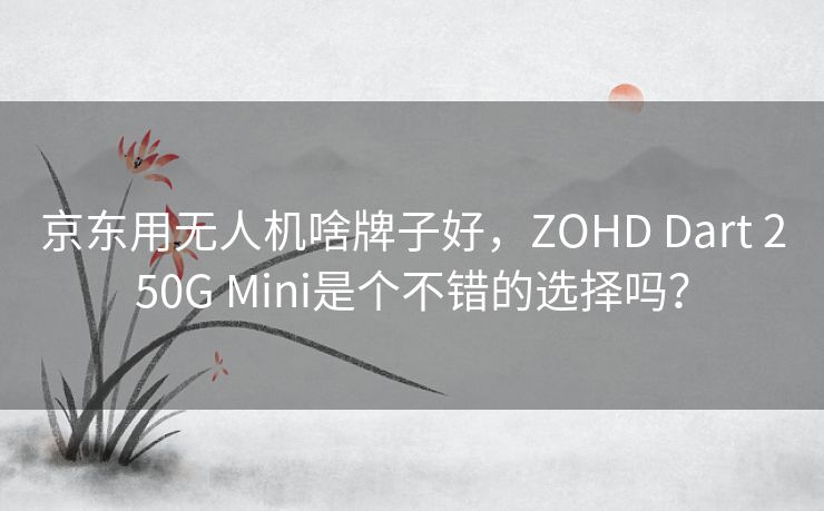 京东用无人机啥牌子好，ZOHD Dart 250G Mini是个不错的选择吗？