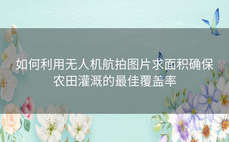 如何利用无人机航拍图片求面积确保农田灌溉的最佳覆盖率