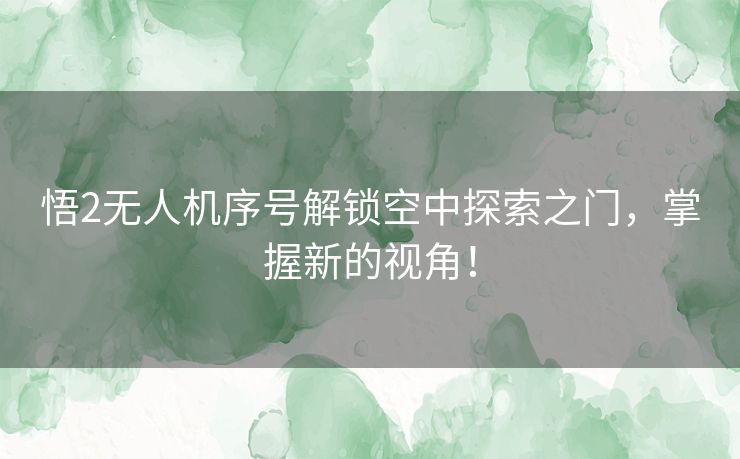 悟2无人机序号解锁空中探索之门，掌握新的视角！