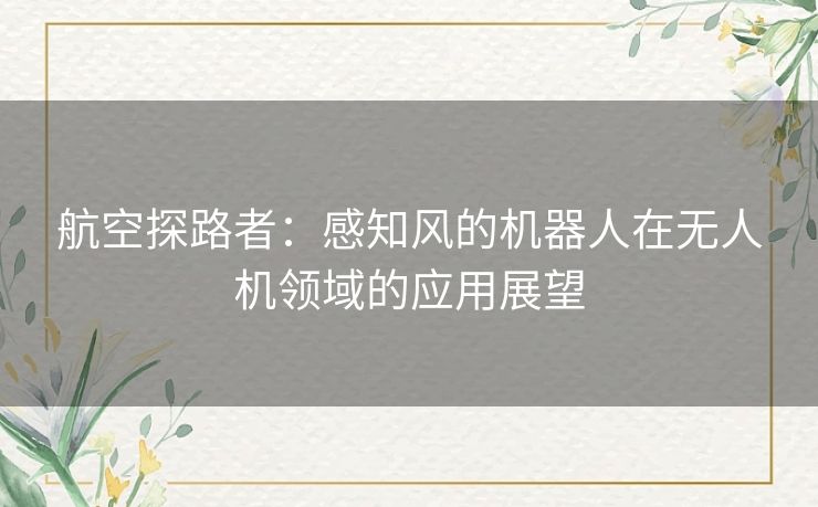 航空探路者：感知风的机器人在无人机领域的应用展望