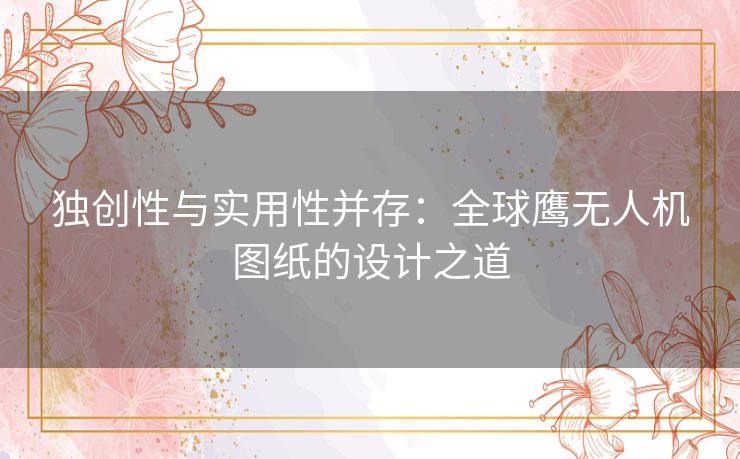 独创性与实用性并存：全球鹰无人机图纸的设计之道