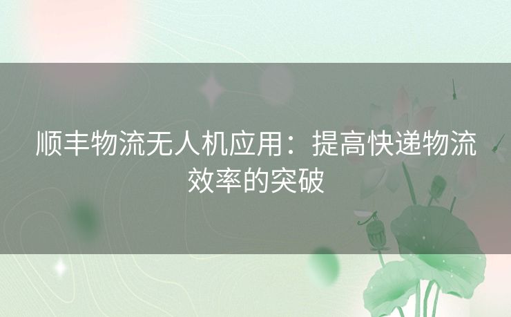 顺丰物流无人机应用：提高快递物流效率的突破