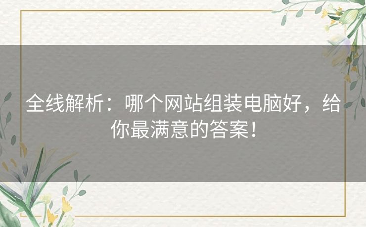 全线解析：哪个网站组装电脑好，给你最满意的答案！