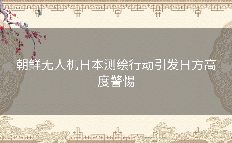 朝鲜无人机日本测绘行动引发日方高度警惕