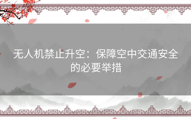 无人机禁止升空：保障空中交通安全的必要举措