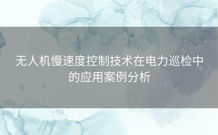 无人机慢速度控制技术在电力巡检中的应用案例分析