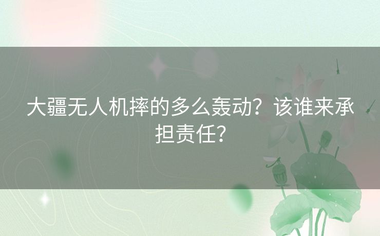 大疆无人机摔的多么轰动？该谁来承担责任？