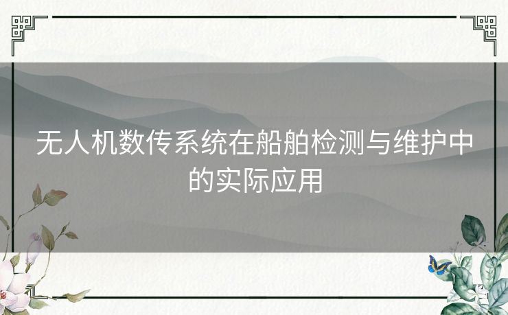 无人机数传系统在船舶检测与维护中的实际应用