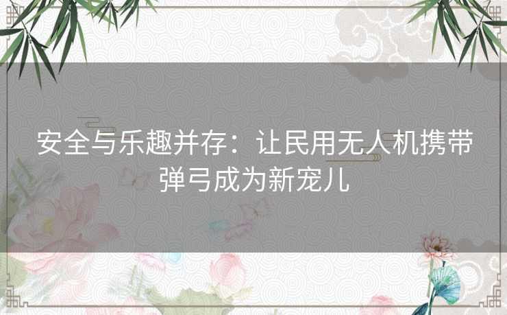 安全与乐趣并存：让民用无人机携带弹弓成为新宠儿