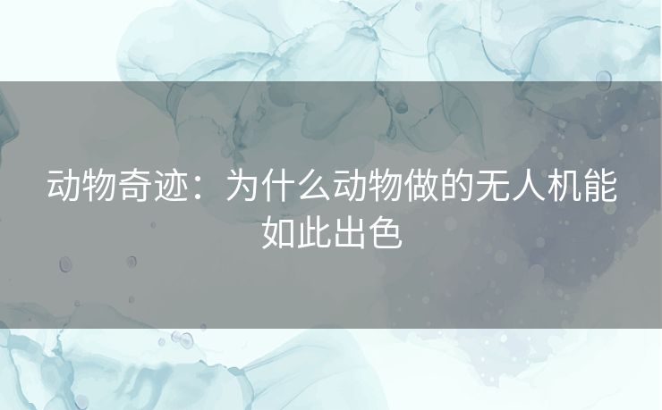 动物奇迹：为什么动物做的无人机能如此出色