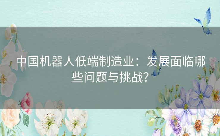 中国机器人低端制造业：发展面临哪些问题与挑战？