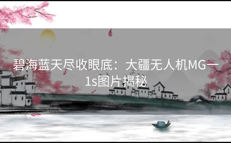 碧海蓝天尽收眼底：大疆无人机MG一1s图片揭秘