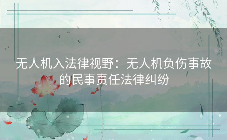 无人机入法律视野：无人机负伤事故的民事责任法律纠纷