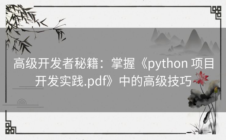 高级开发者秘籍：掌握《python 项目开发实践.pdf》中的高级技巧