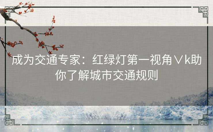 成为交通专家：红绿灯第一视角∨k助你了解城市交通规则