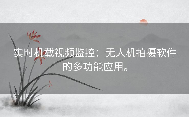 实时机载视频监控：无人机拍摄软件的多功能应用。