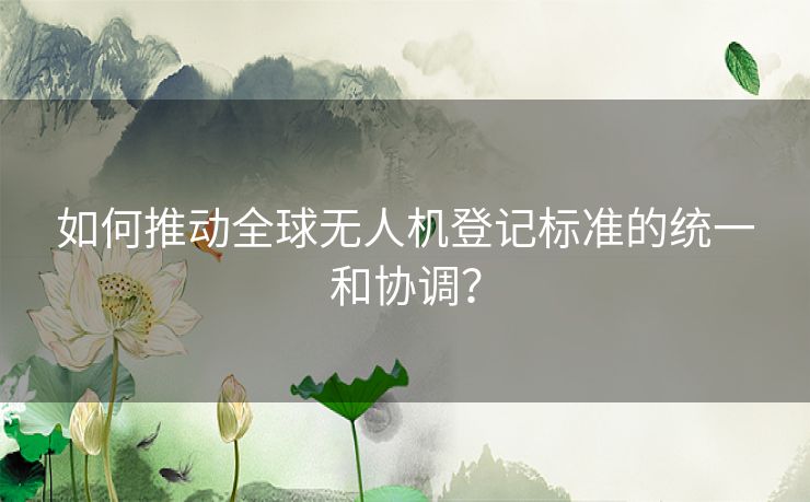 如何推动全球无人机登记标准的统一和协调？