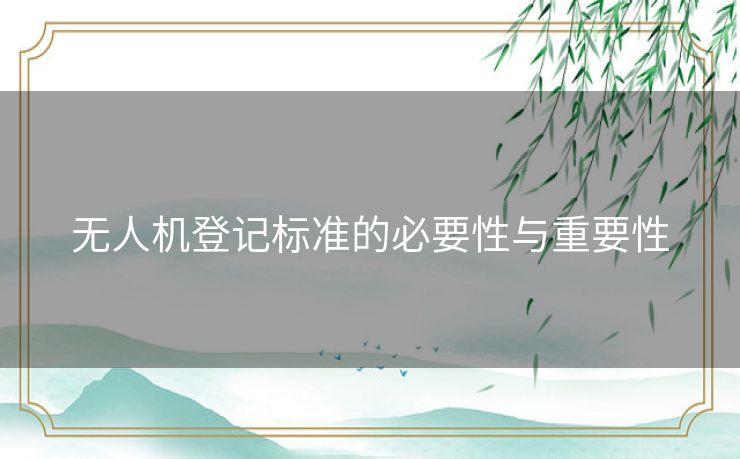 无人机登记标准的必要性与重要性