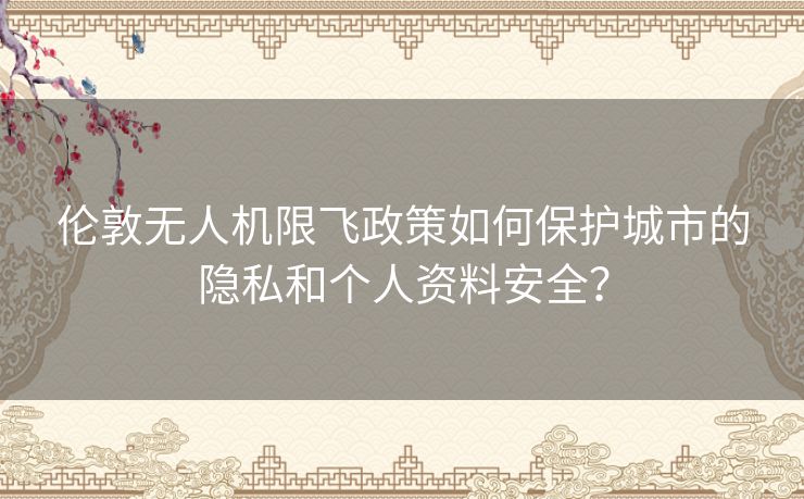 伦敦无人机限飞政策如何保护城市的隐私和个人资料安全？