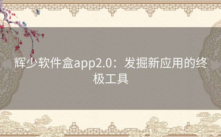 辉少软件盒app2.0：发掘新应用的终极工具