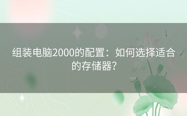 组装电脑2000的配置：如何选择适合的存储器？