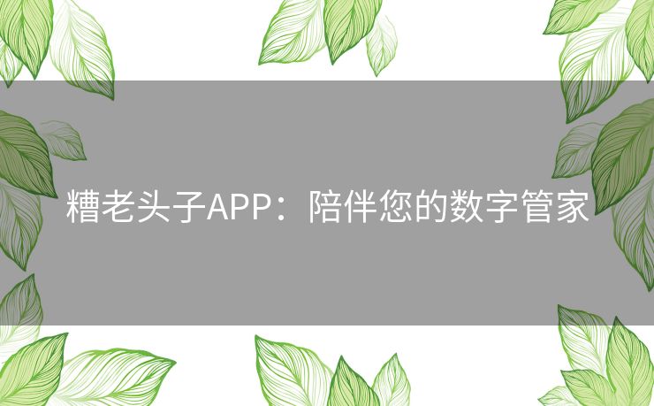 糟老头子APP：陪伴您的数字管家