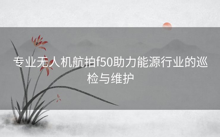 专业无人机航拍f50助力能源行业的巡检与维护