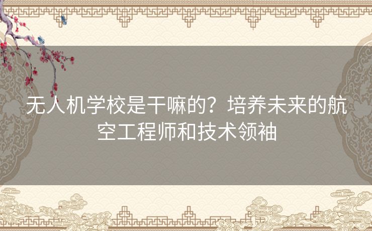 无人机学校是干嘛的？培养未来的航空工程师和技术领袖