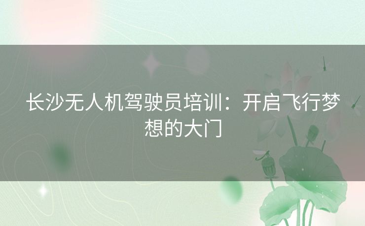 长沙无人机驾驶员培训：开启飞行梦想的大门