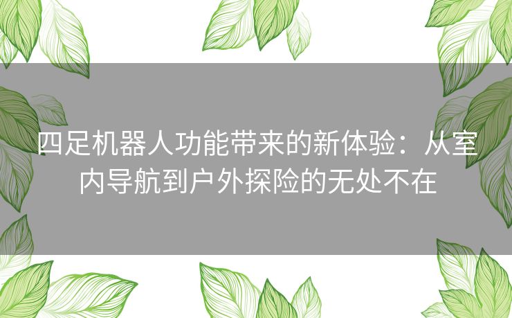 四足机器人功能带来的新体验：从室内导航到户外探险的无处不在