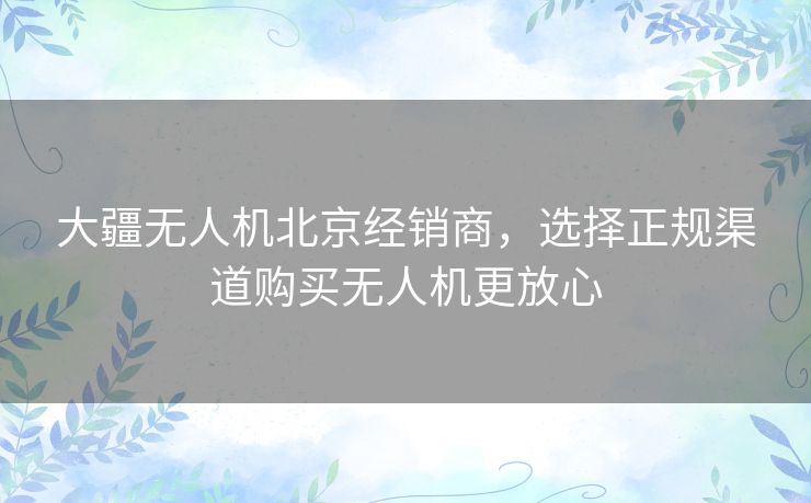 大疆无人机北京经销商，选择正规渠道购买无人机更放心