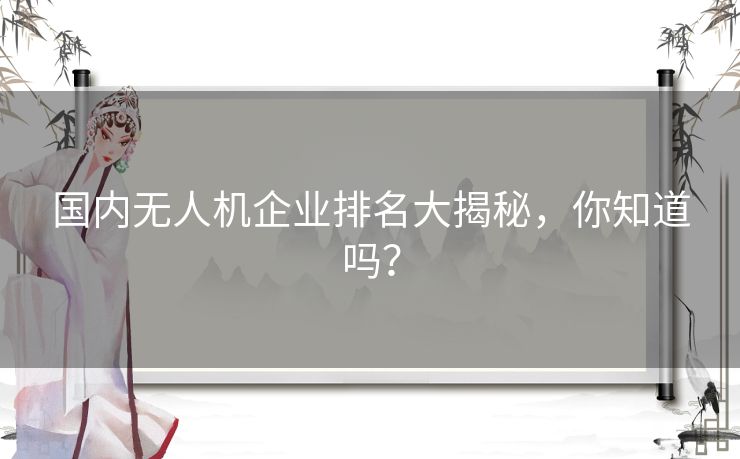 国内无人机企业排名大揭秘，你知道吗？