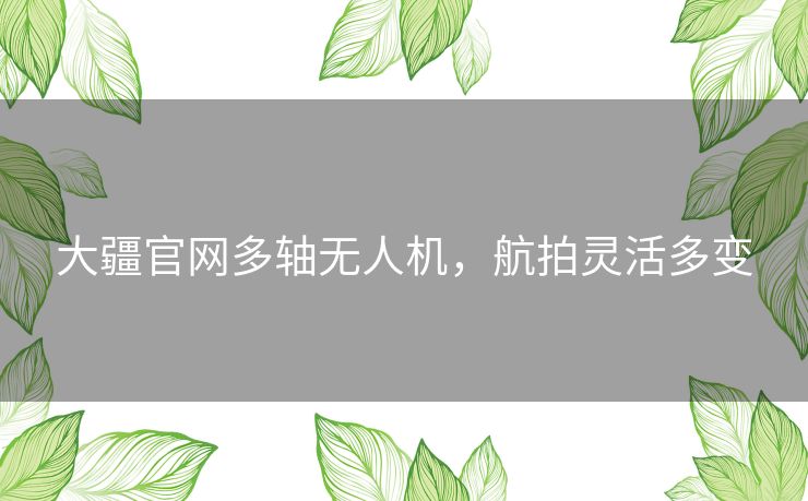 大疆官网多轴无人机，航拍灵活多变