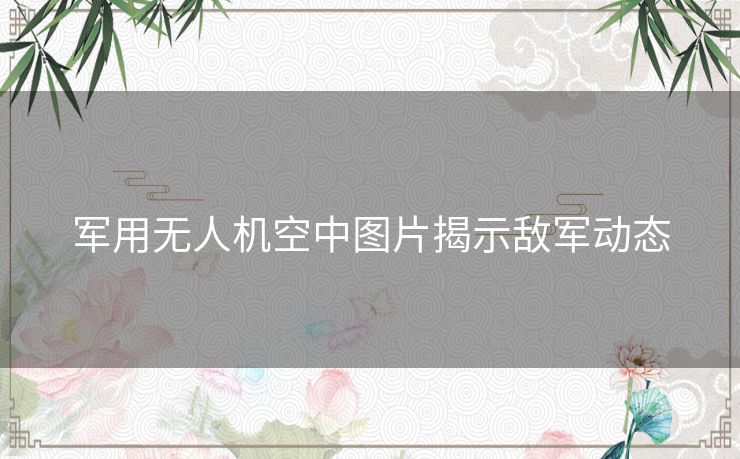 军用无人机空中图片揭示敌军动态