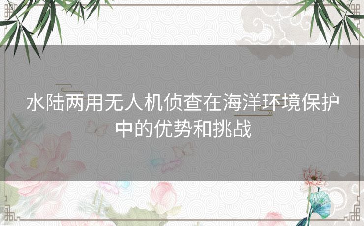 水陆两用无人机侦查在海洋环境保护中的优势和挑战