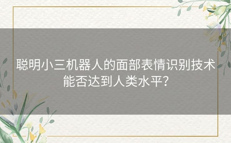 聪明小三机器人的面部表情识别技术能否达到人类水平？