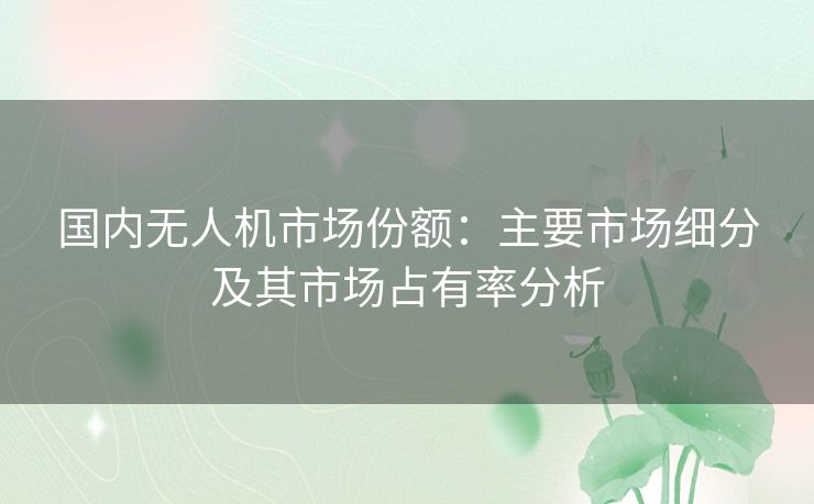 国内无人机市场份额：主要市场细分及其市场占有率分析