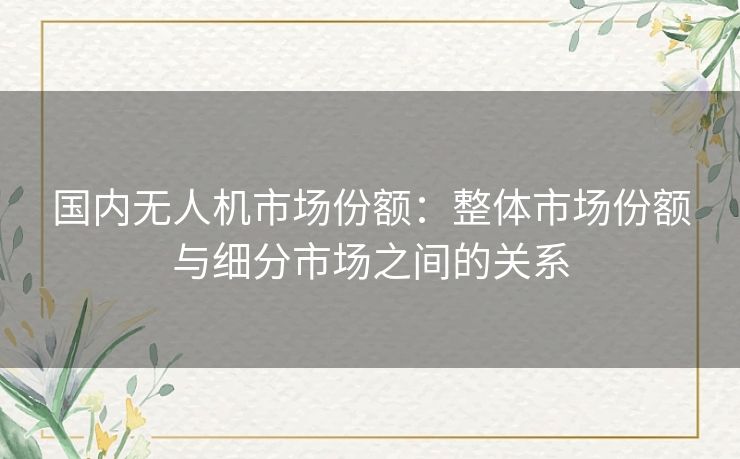 国内无人机市场份额：整体市场份额与细分市场之间的关系