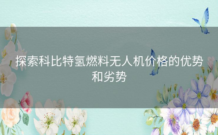 探索科比特氢燃料无人机价格的优势和劣势