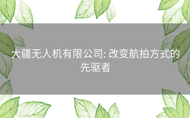 大疆无人机有限公司: 改变航拍方式的先驱者