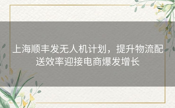 上海顺丰发无人机计划，提升物流配送效率迎接电商爆发增长