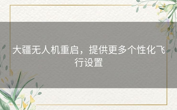 大疆无人机重启，提供更多个性化飞行设置