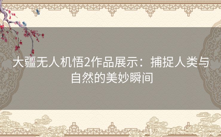 大疆无人机悟2作品展示：捕捉人类与自然的美妙瞬间