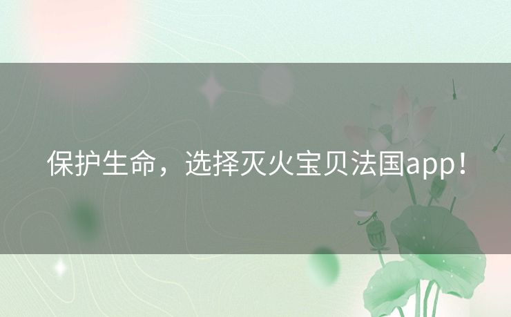 保护生命，选择灭火宝贝法国app！