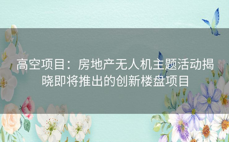 高空项目：房地产无人机主题活动揭晓即将推出的创新楼盘项目