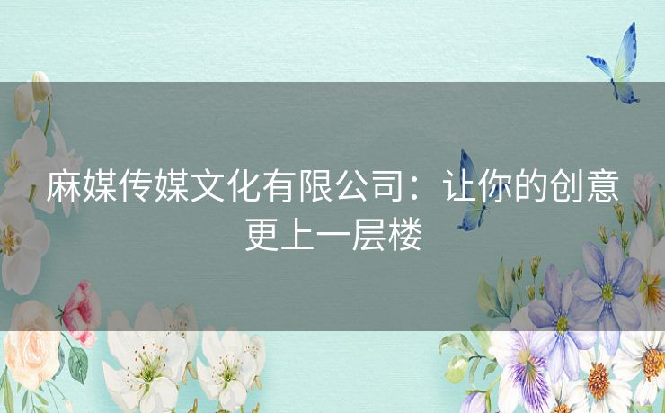 麻媒传媒文化有限公司：让你的创意更上一层楼