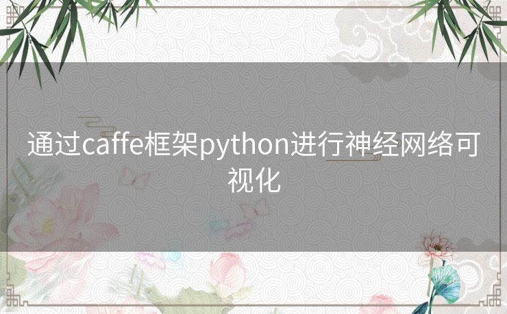 通过caffe框架python进行神经网络可视化