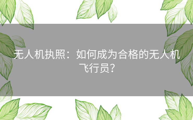 无人机执照：如何成为合格的无人机飞行员？