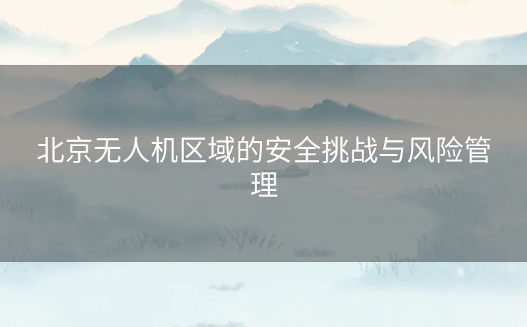 北京无人机区域的安全挑战与风险管理